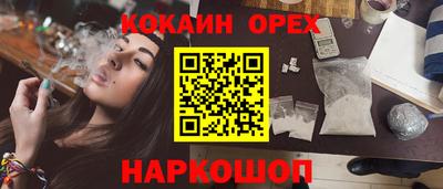 дмт Кингисепп