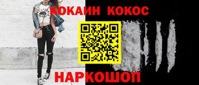 дмт Кингисепп