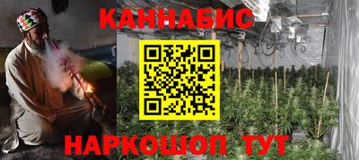 дмт Кингисепп