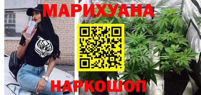 дмт Кингисепп