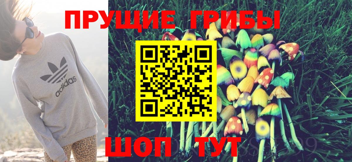 Кодеин Куйбышев